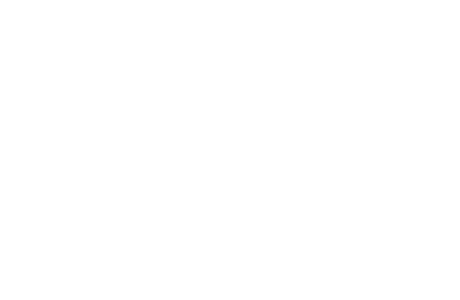 lynai logo